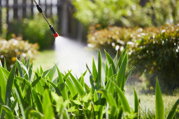 24/7 Emergency Wasp Removal experts in Calhoun City, MS