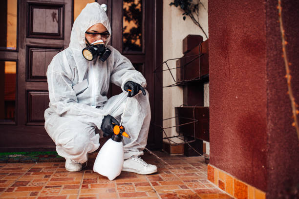 Reliable Wasp Removal contractor in Calhoun City, MS by Show Me Pest Control
