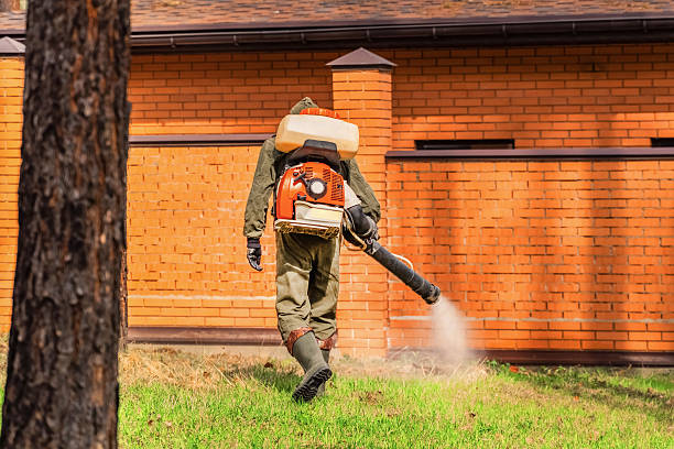 Top rated local Wasp Removal specialists in Calhoun City, MS